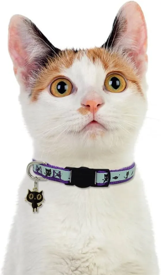 2 Pack Glow in The Dark Cat Collar with Bell Breakaway Safety Cat Puppy Collars with Pendant Red and Purple