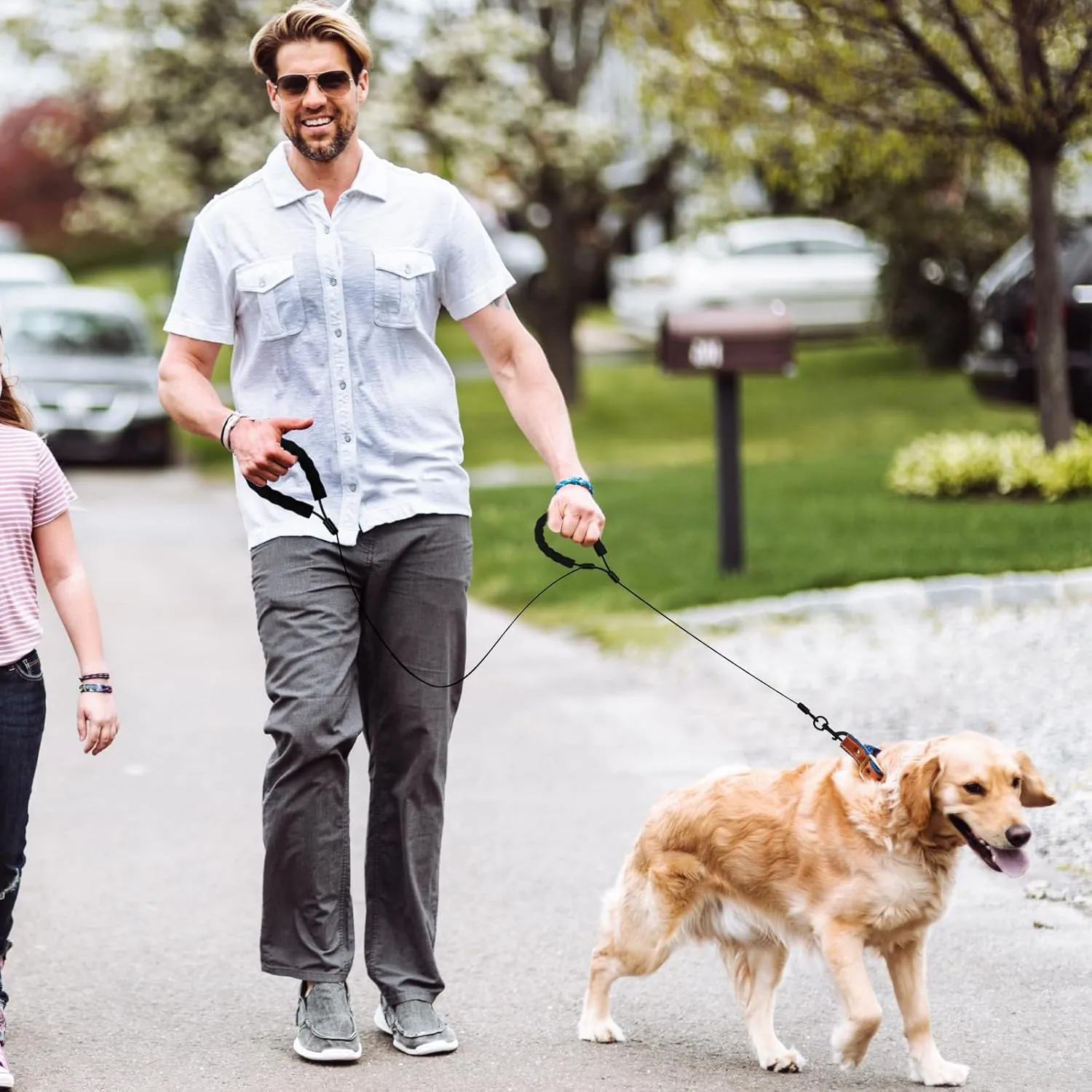 6FT Chew Proof Dog Leashes with Two Comfortable Padded Handles, Heavy Duty Steel for Large or Medium Dogs Walking and Training Control, Traffic Metal Lead Rope with Rotate Clasp for Puppies -BK