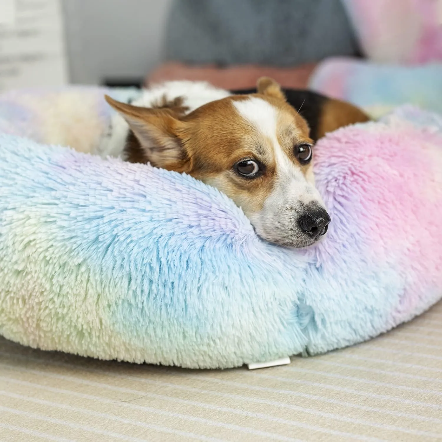 Anti Anxiety Round Fluffy Plush Faux Fur Warm Washable Dog Bed & Cat Bed, Original Bed for Small Medium Large Pets,Used to Relieve Joints and Improve Sleep20"/24"/27'' (20", Rainbow)