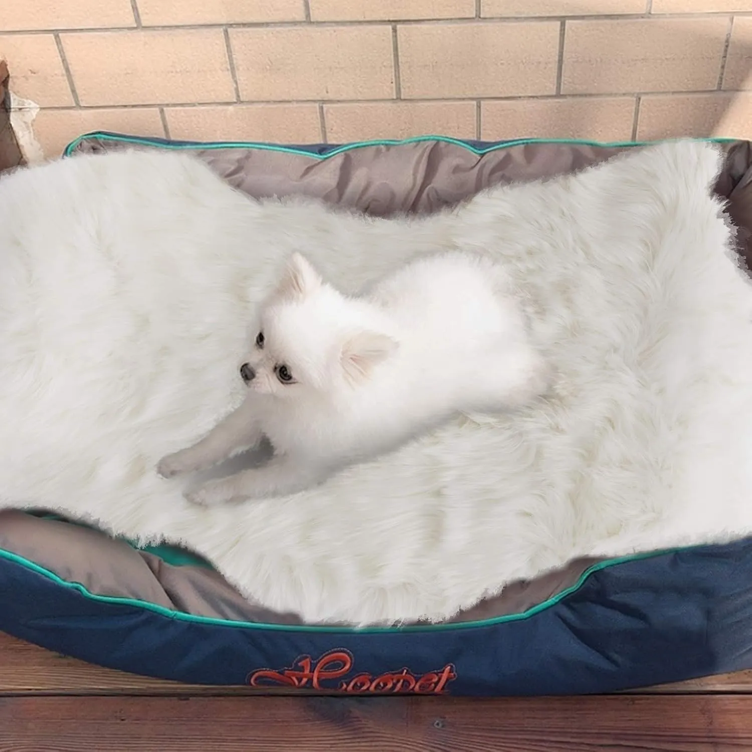 Asrug Faux Fur Dog Rug Plush and Fluffy Dog Mat Ultra Cozy Pet Throw Rug for Dogs Cats, Luxury Soft Faux Sheepskin Chair Cover Seat Pad Shag Fur Area Rugs for Bedroom, White, 24 by 36 inches