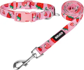azuza Dog Collar and Leash Set, Cute Strawberry Patterns on Pink Nylon Collar and Matching Leash, Great Option for Medium Dogs