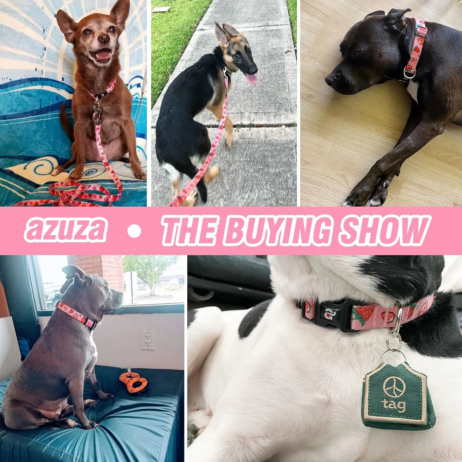 azuza Dog Collar and Leash Set, Cute Strawberry Patterns on Pink Nylon Collar and Matching Leash, Great Option for Medium Dogs