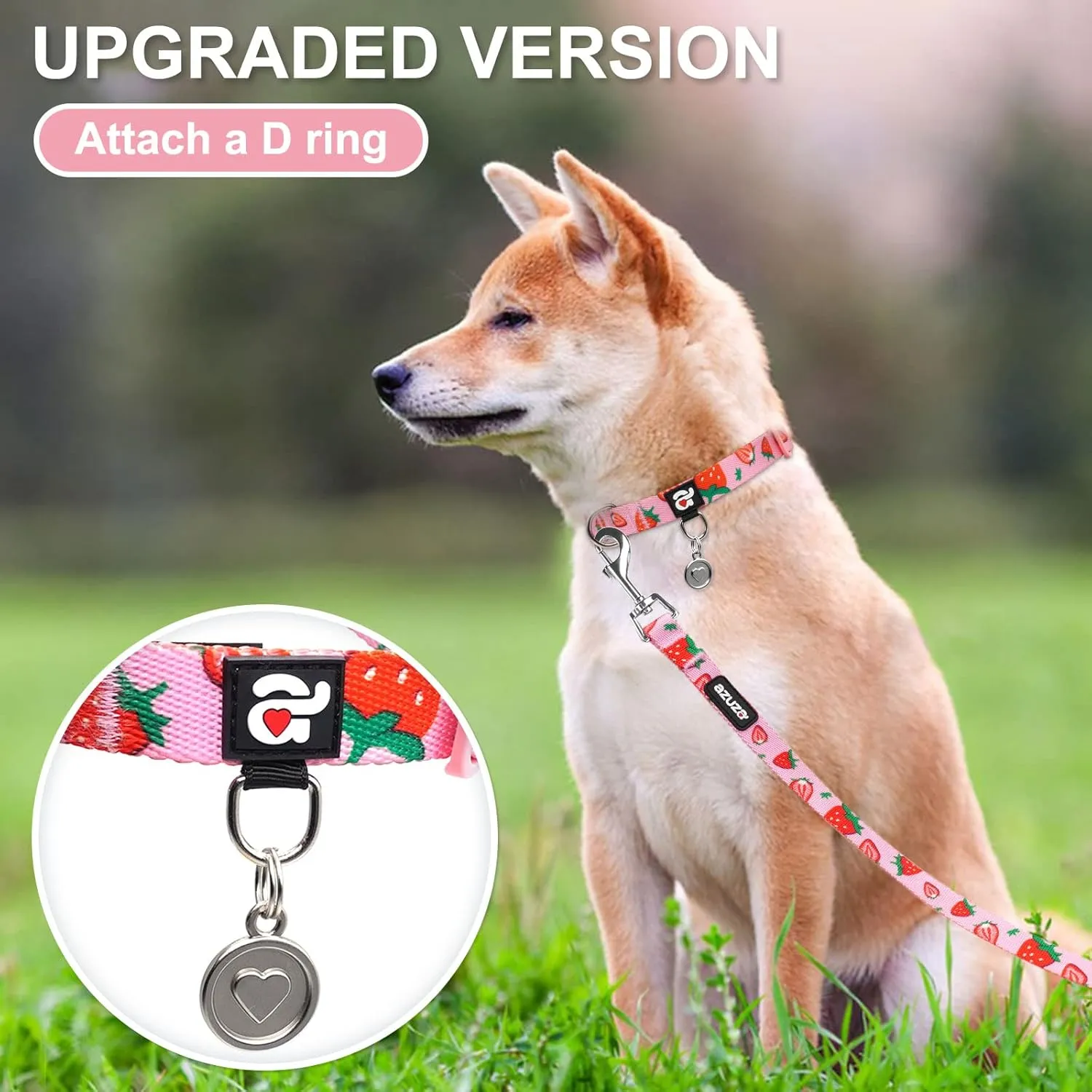 azuza Dog Collar and Leash Set, Cute Strawberry Patterns on Pink Nylon Collar and Matching Leash, Great Option for Medium Dogs