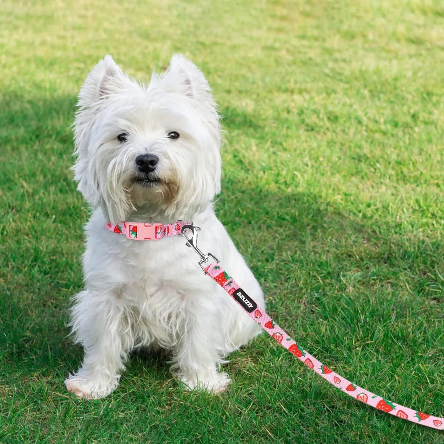 azuza Dog Collar and Leash Set, Cute Strawberry Patterns on Pink Nylon Collar and Matching Leash, Great Option for Medium Dogs