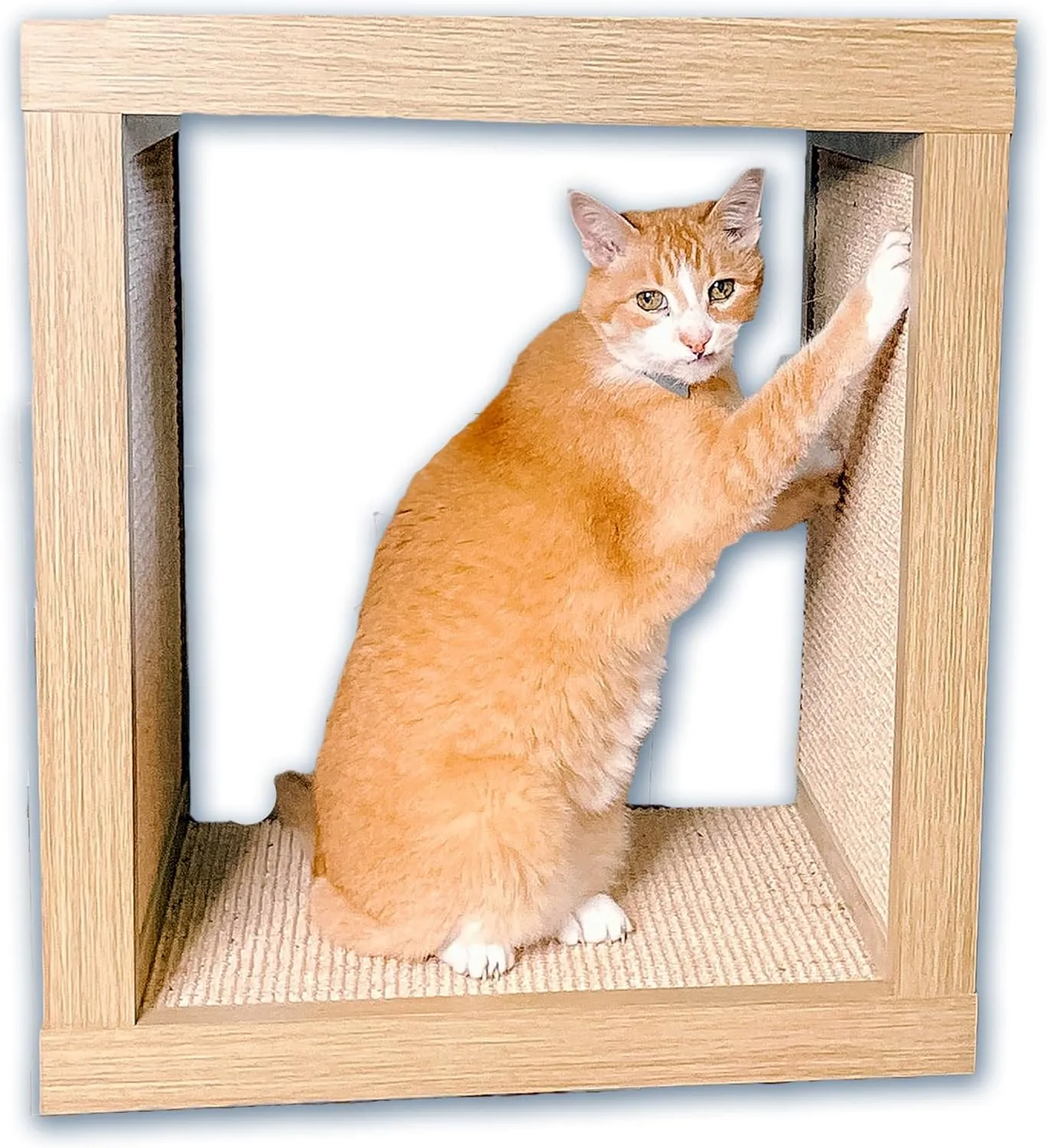 Bailey Cat Scratcher, Wooden Cat Scratcher and End Table, Sisal Scratching Furniture Post for Cats and Kittens, Interior Design Scratching Post, Driftwood - Light Wood Veneer