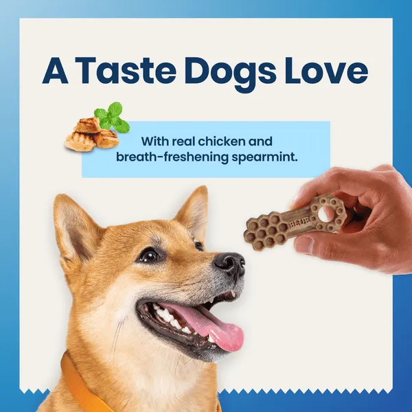 BLUE Dental Chews