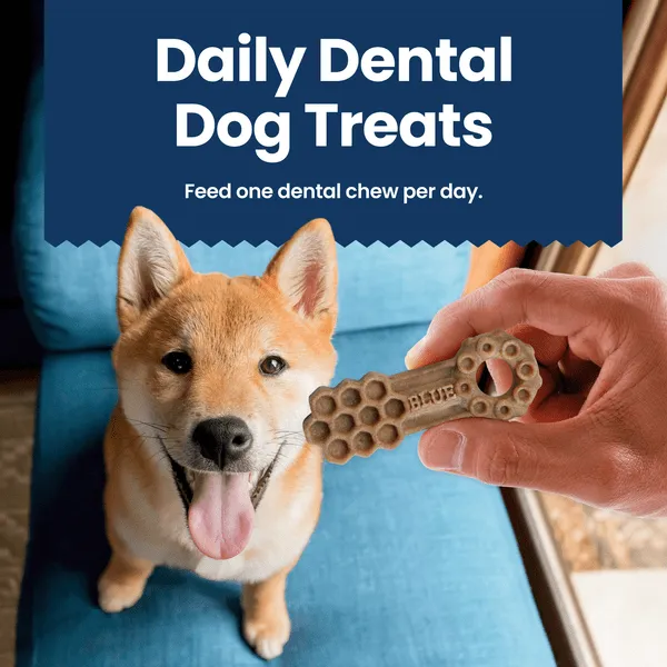 BLUE Dental Chews