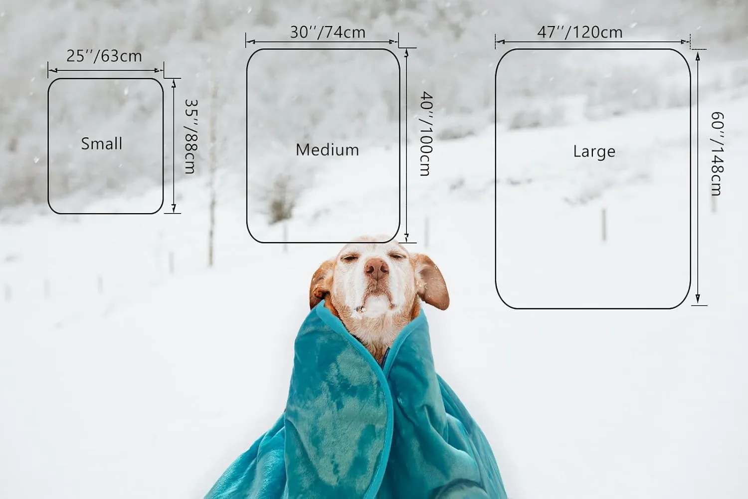 Bucephalus Waterproof Dog Blanket - Thick Reversible Sherpa Fleece Pet Blanket for Couch Bed Sofa Protector, Pee Resistant Washable Soft Blanket for Dogs Puppy Cats Puppies (25x35 Inches, Teal)