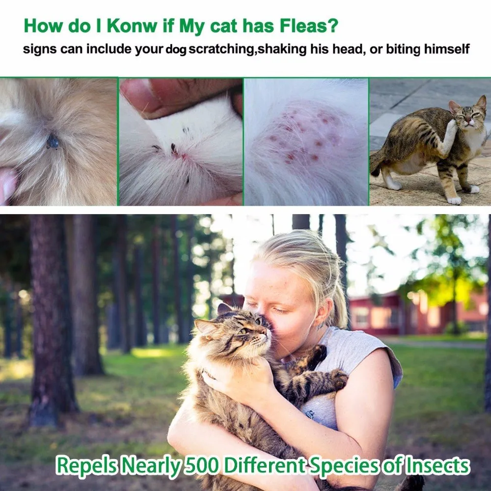 Dewel Herbal Cat Puppy Collar Anti Flea Mosquitoes Ticks Waterproof Cat Flea Collar for Small Dog Pet 8 Months Protection