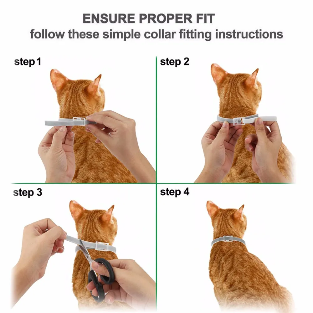 Dewel Summer Anti-insect Cat Dog Collar Anti Flea Mosquitoes Ticks Waterproof Cat Flea Collar for Pet 8 Months Protection