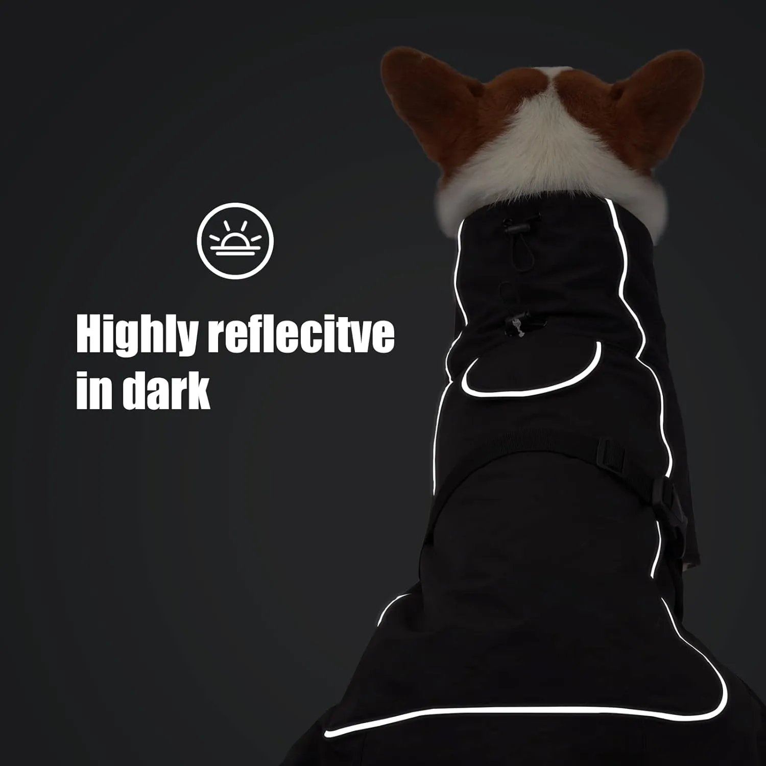 Dog Raincoat & Winter Jacket - Waterproof Windproof Reflective Coat with Warm Insulation, All-Weather Hiking Travel Gear for Indoor/Outdoor Use (Black, X-Small)