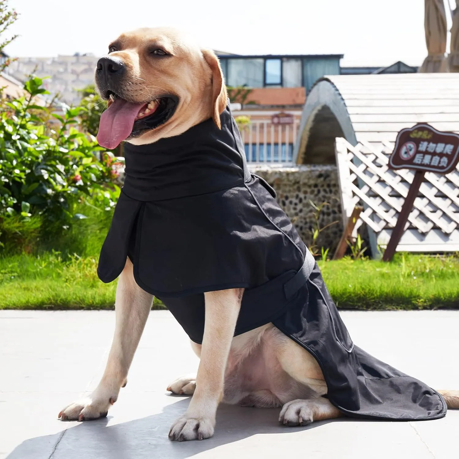 Dog Raincoat & Winter Jacket - Waterproof Windproof Reflective Coat with Warm Insulation, All-Weather Hiking Travel Gear for Indoor/Outdoor Use (Black, X-Small)