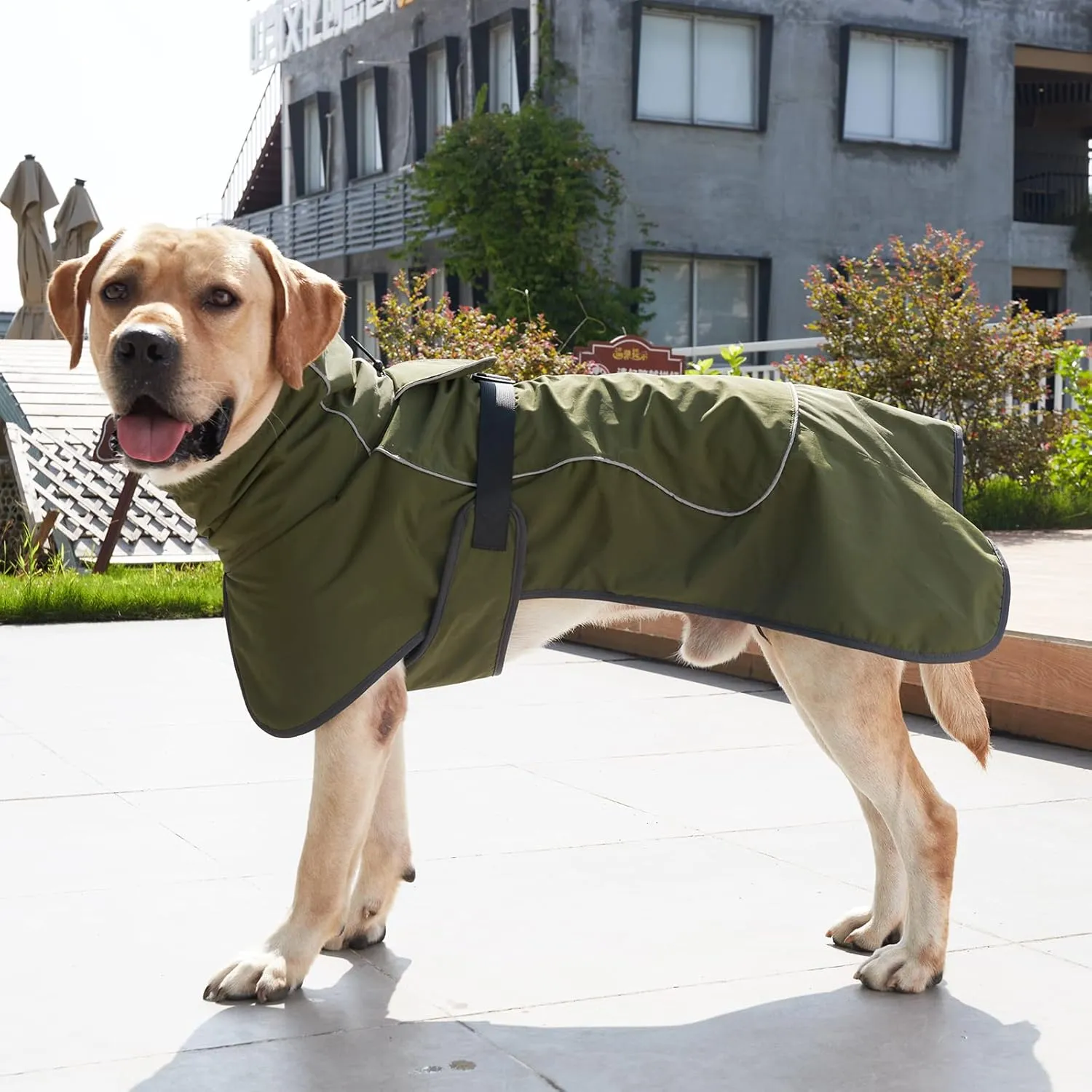 Dog Raincoat & Winter Jacket - Waterproof Windproof Reflective Coat with Warm Insulation, All-Weather Hiking Travel Gear for Indoor/Outdoor Use (Military Green, X-Small)