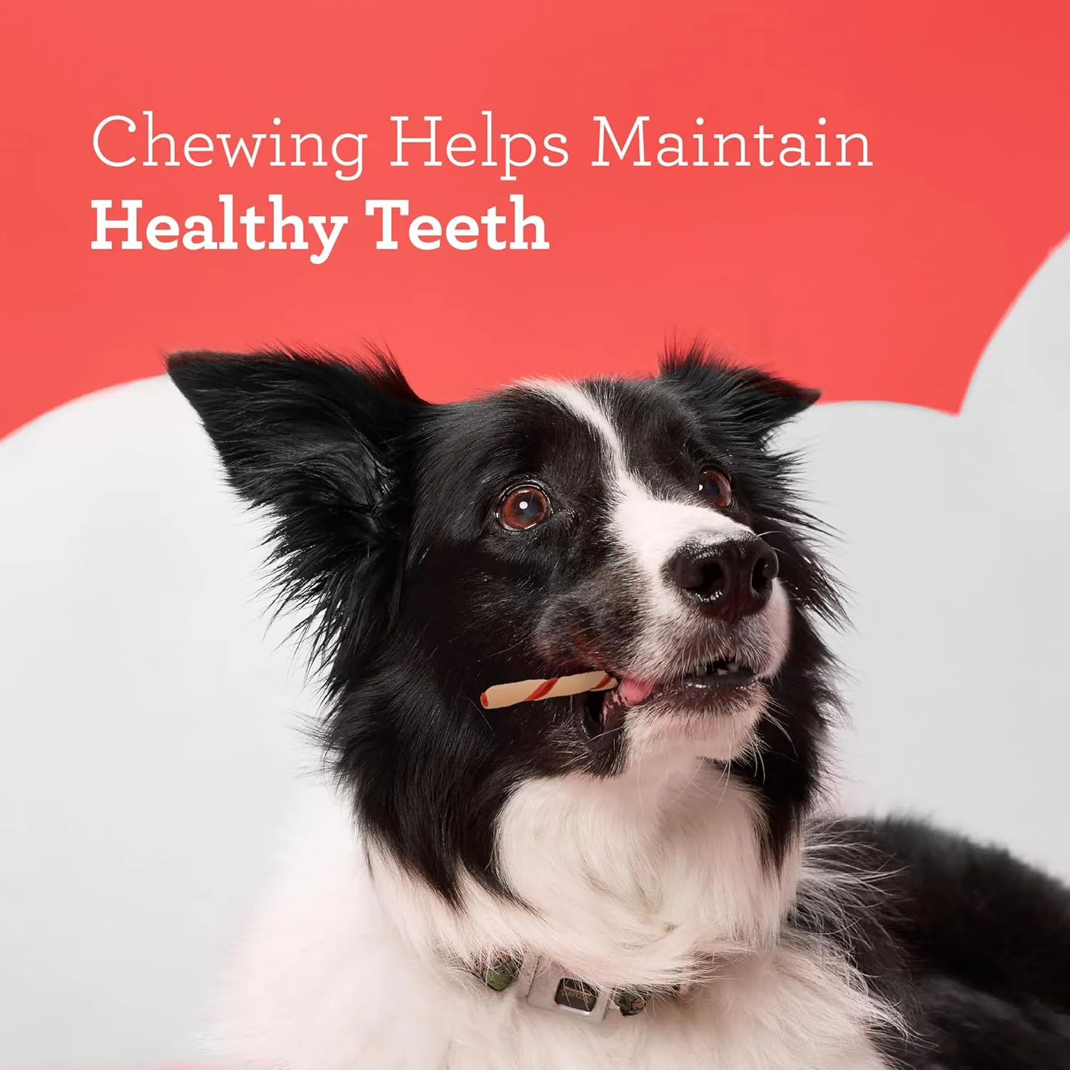 DreamBone Twist Sticks Chews for Dogs, 50 Count, Treat Your Dog to Easy-to-Digest Rawhide-Free Chews Made with Real Vegetables and Chicken