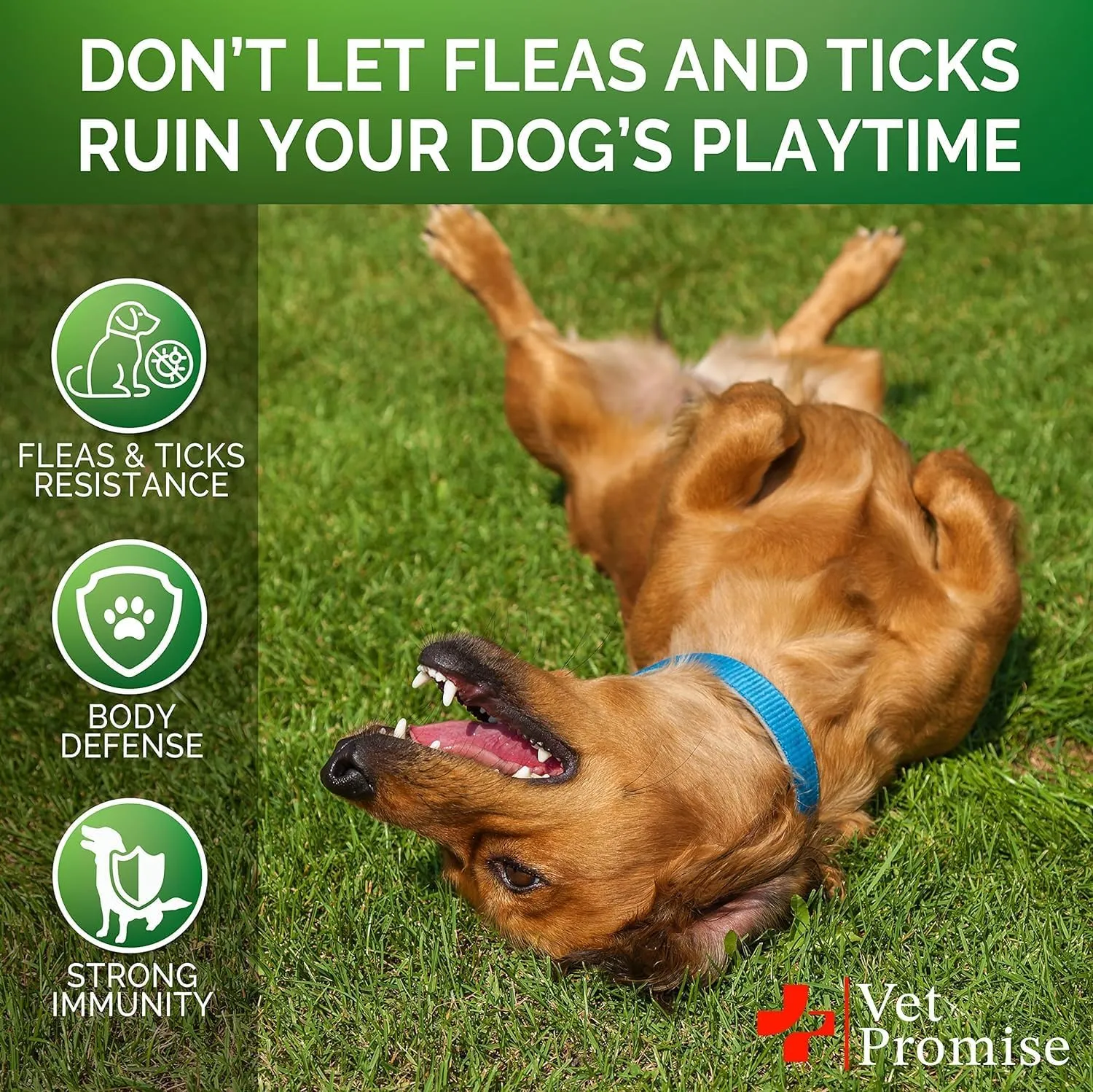 Flea and Tick Prevention for Dogs Chewables - Natural Dog Flea and Tick Control Treatment Chews - Oral Pills Supplement - All Breeds and Ages - Made in USA - Soft Treats