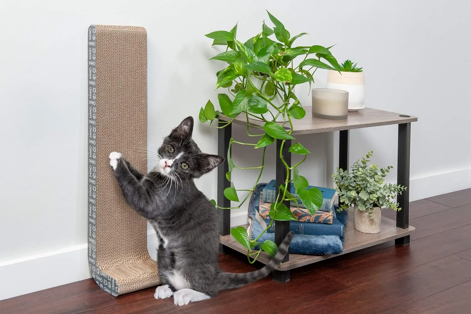 Furhaven 2-Pack Scratching Boards w/ Catnip & Wall-Mounting Hooks for Indoor Cats, Reversible - Wall-Mounted Corrugated Cat Scratchers - Gray/White Print, Standard/2-Pack