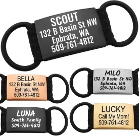 GoTags Silent Personalized Engraved Pet ID Tags for Dogs and Cats, Jingle Free Quiet Custom Stainless Steel Name Tags (Black, Large)
