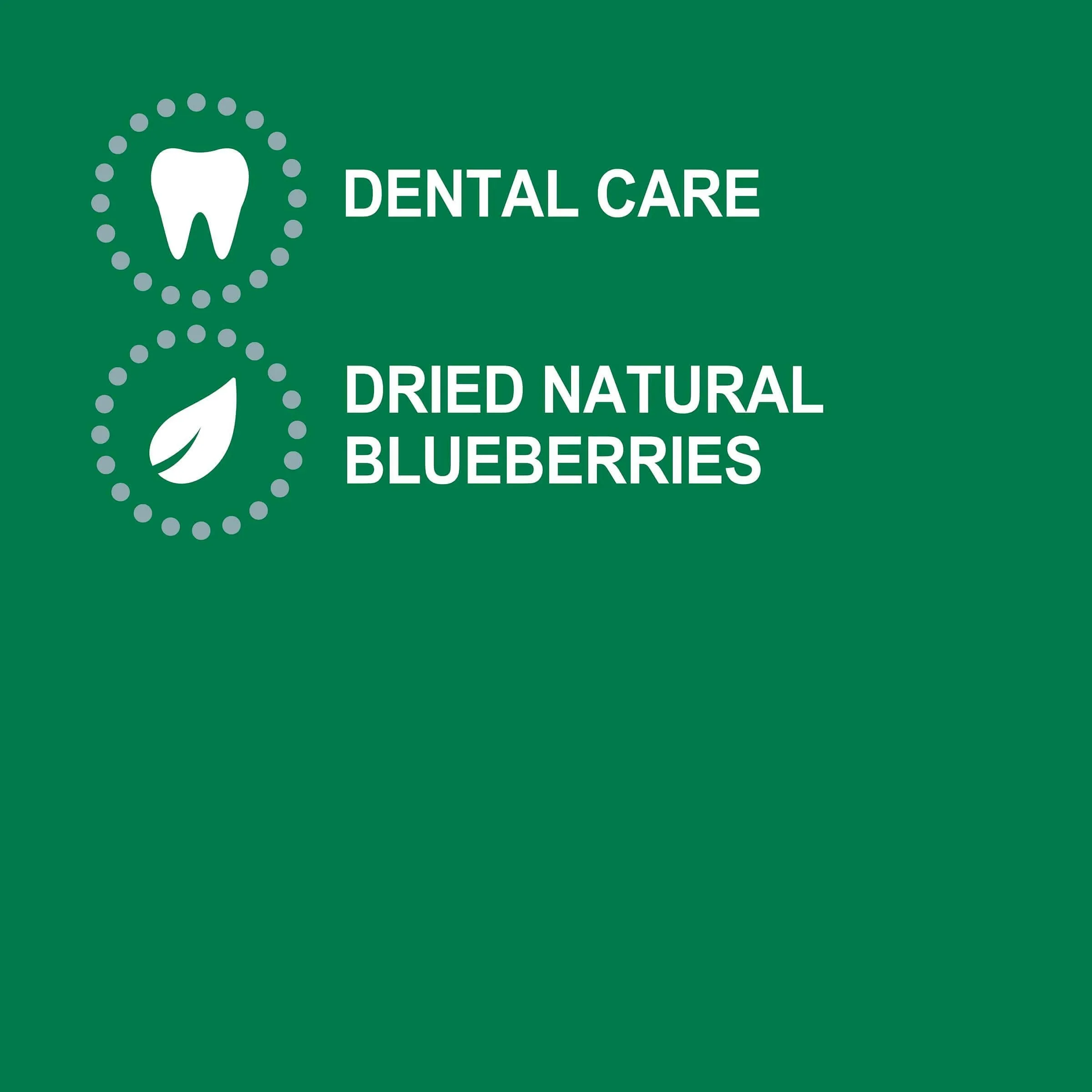 Greenies Blueberry Petite Dental Chews Dog Treats 340G