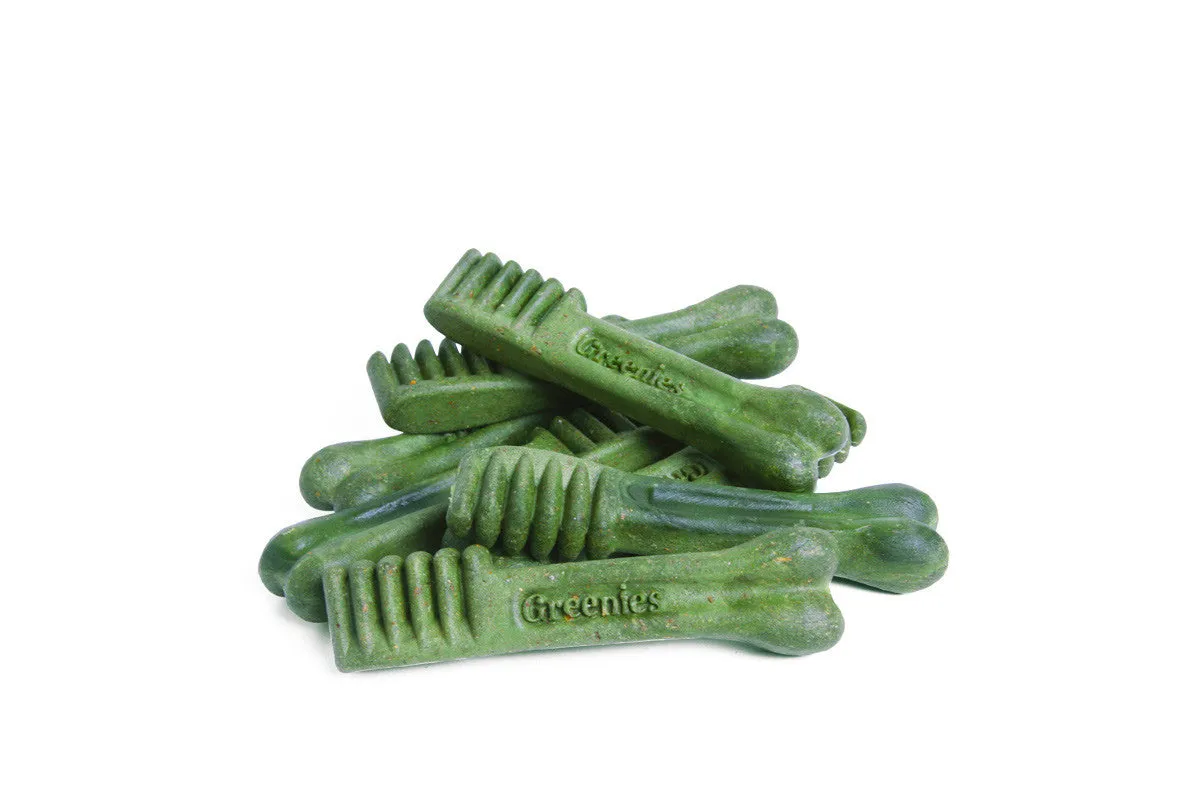 Greenies Freshmint Large I Dental Dog Treats
