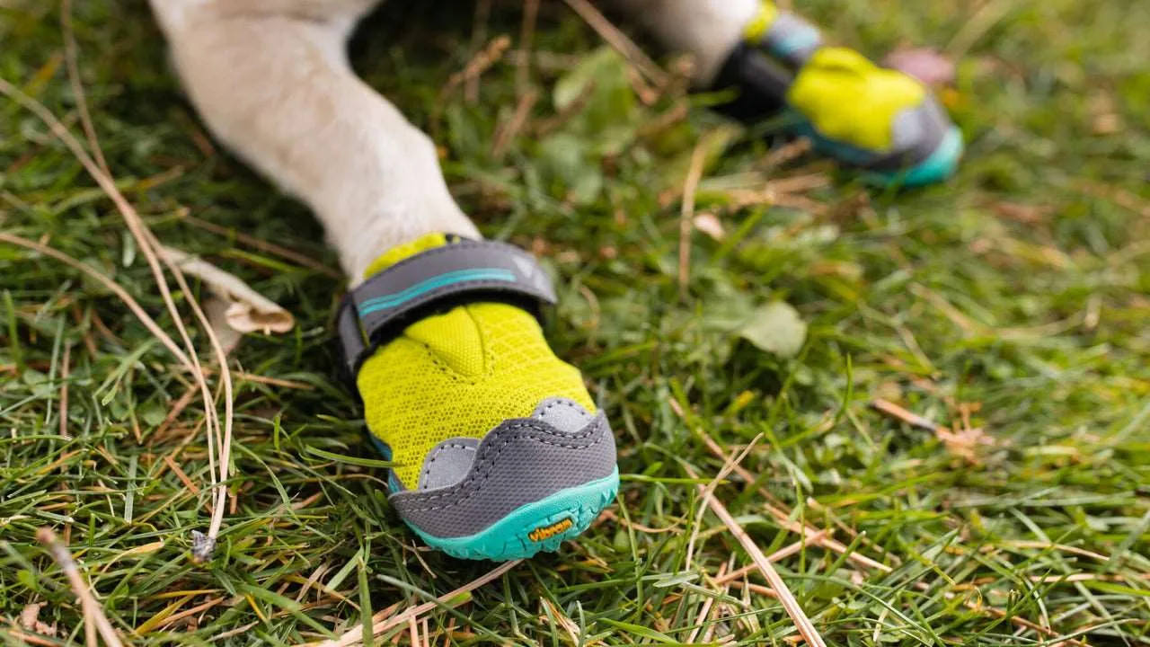Grip Trex™ Dog Boots