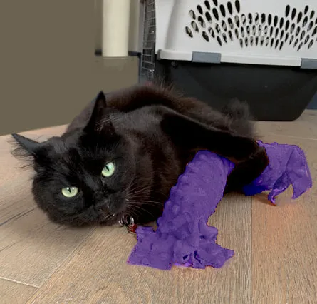 Happy Hours of Fun Catnip & Silvervine Kicker - Purple