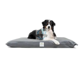 Henry Hottie Orthopedic Pet Bed (Grey)