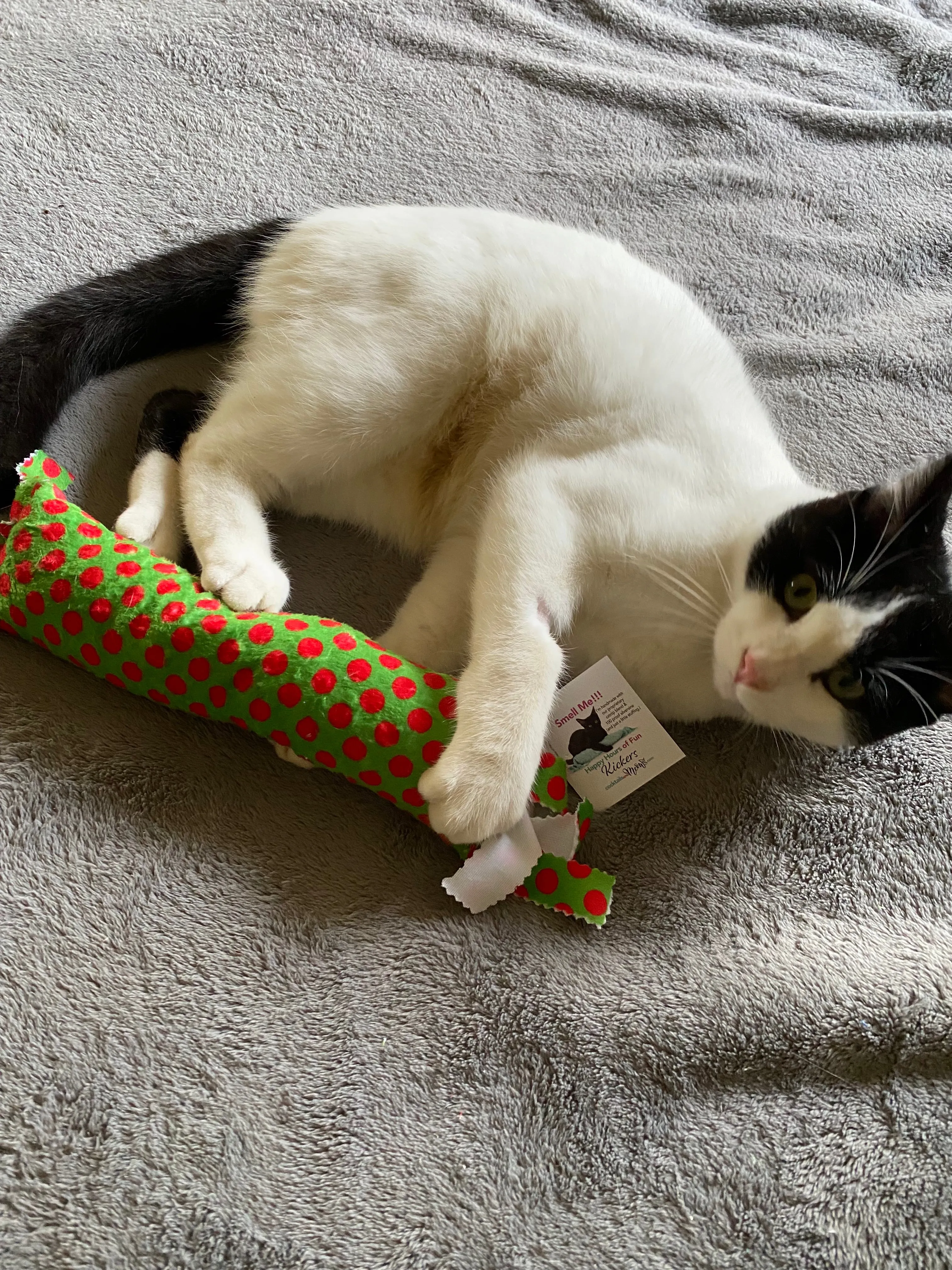 Holiday Dots! Happy Hours XL Catnip & Silvervine Kicker