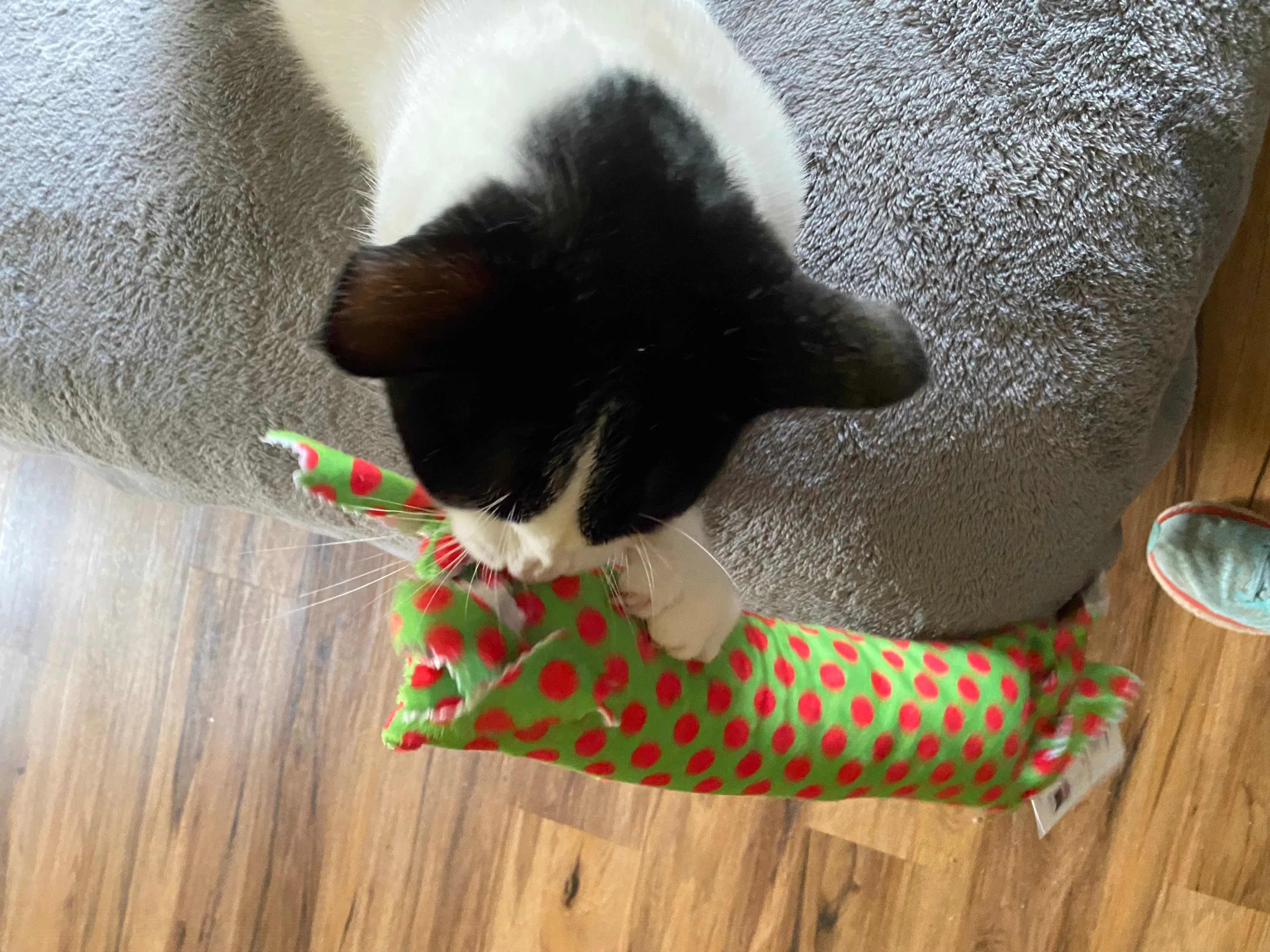 Holiday Dots! Happy Hours XL Catnip & Silvervine Kicker