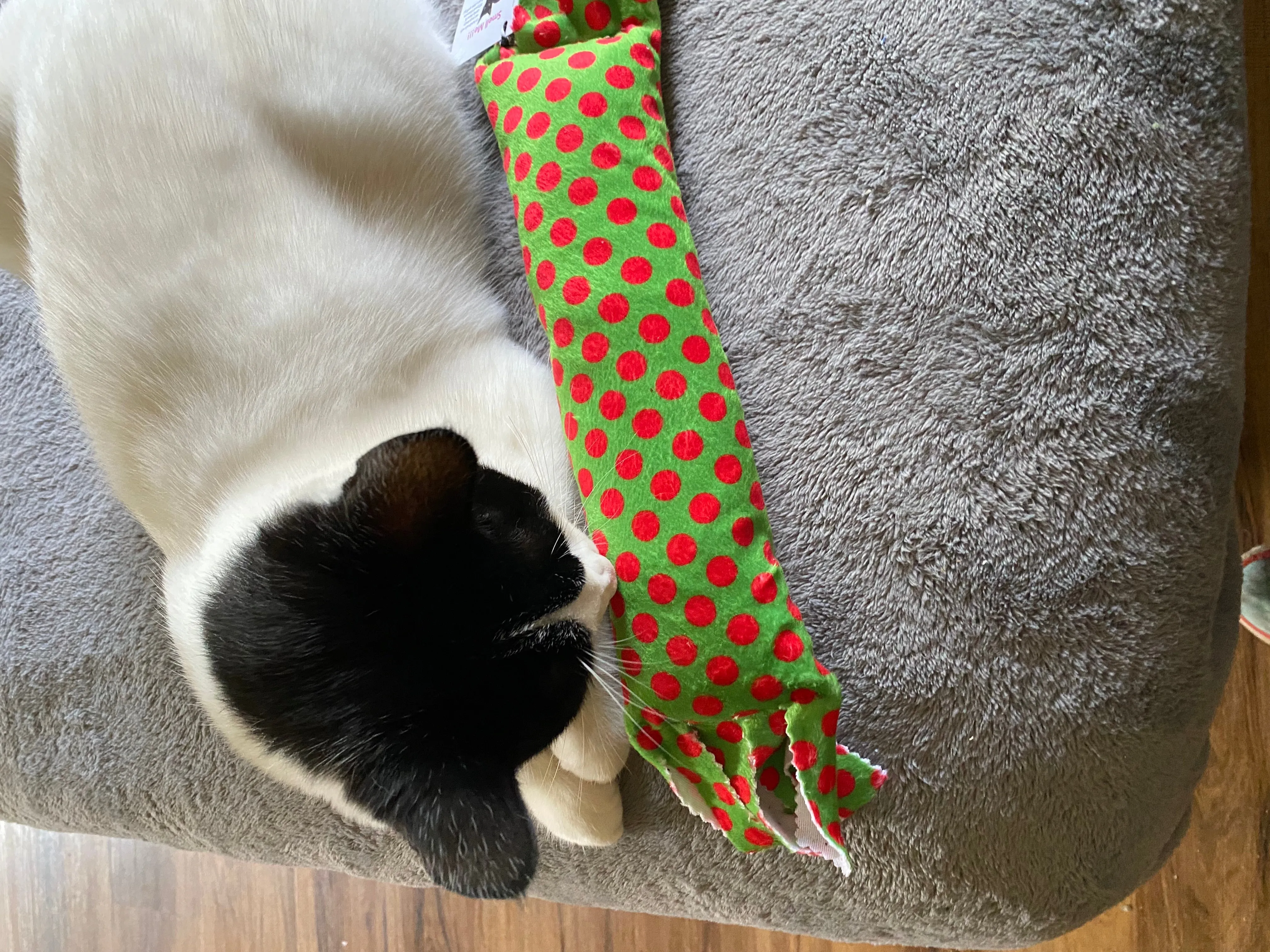 Holiday Dots! Happy Hours XL Catnip & Silvervine Kicker