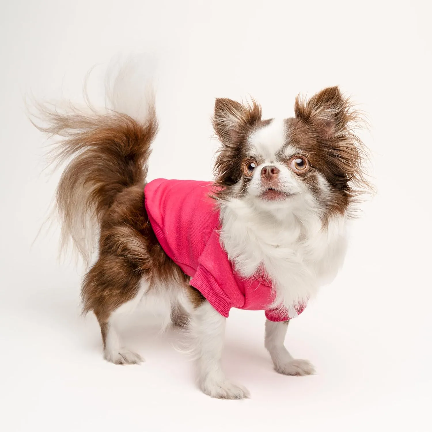 I Chews You to Be My Furever Valentine's Day Dog Hoodie Fleece Lined Pullover Sweatshirt with Leash Hole (Black, Medium 1219)