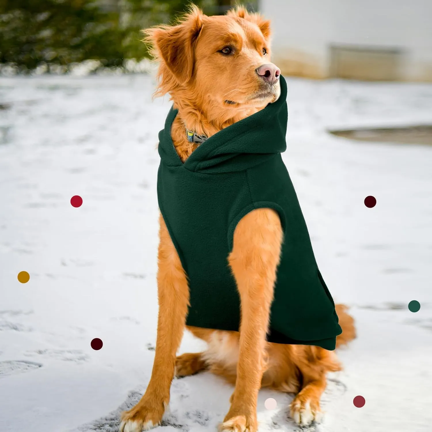 IECOii XXL Dog Hoodie for Extra Large Dog,Fleece Dog Sweatshirt for Large Breed Male Female Dog,Dog Pouch Hoodie Sweater Pet Winter Coat For Large Size Dogs Dog Christmas Sweater for Pitbull,Green,2XL