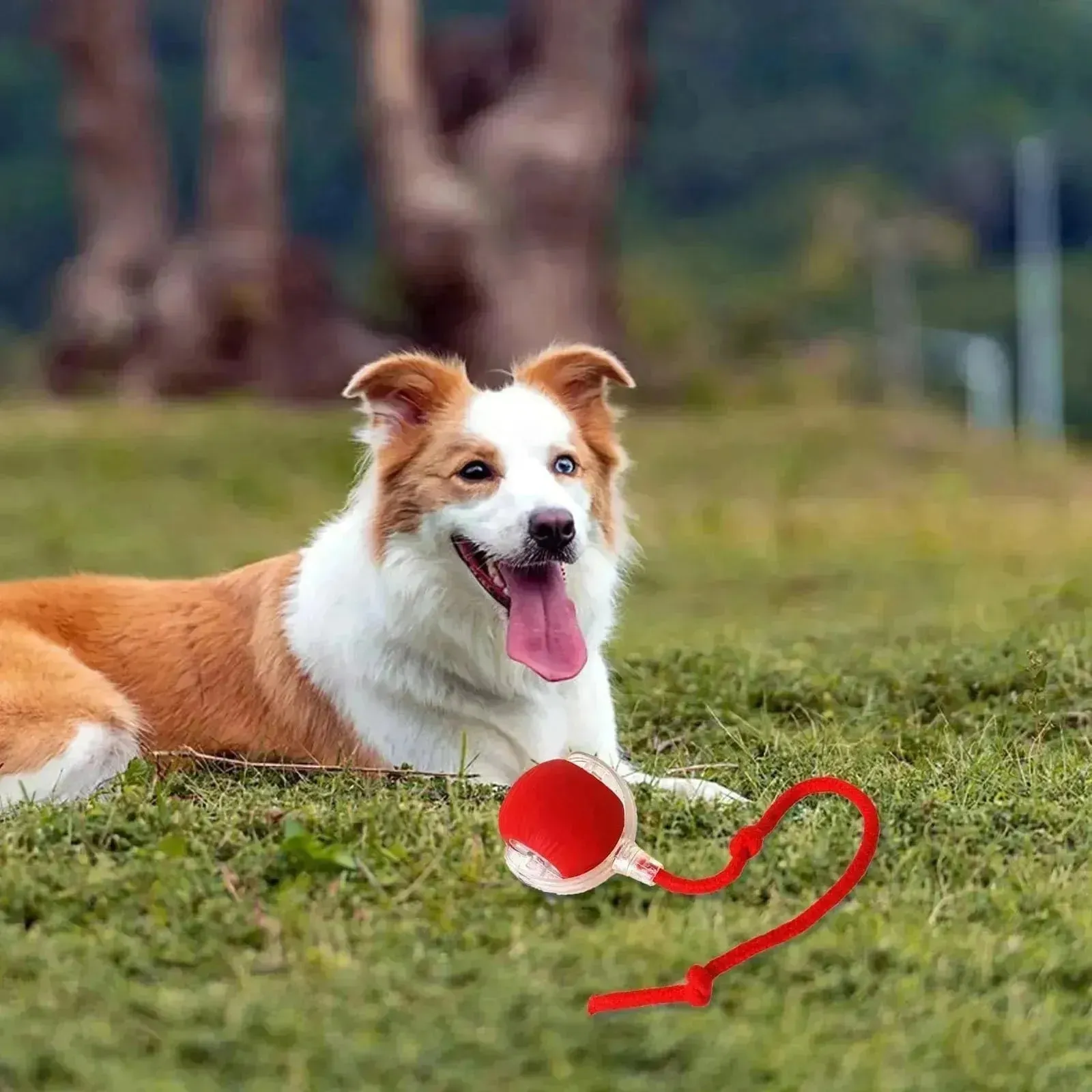 Interactive Smart Rolling Ball Toy for Cats & Dogs