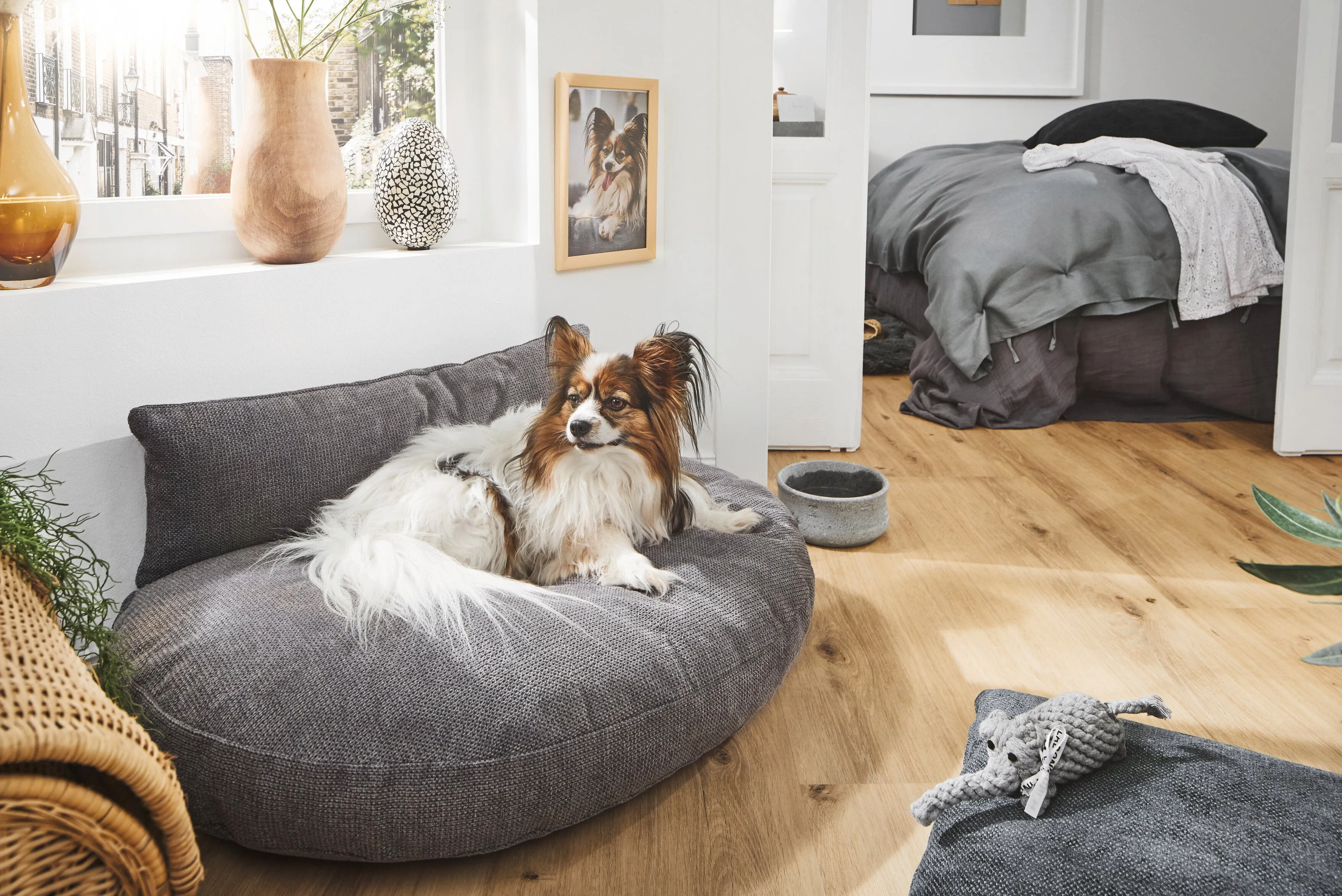 Laboni Luna Lounge Set Tudor Orthopaedic Dog Bed