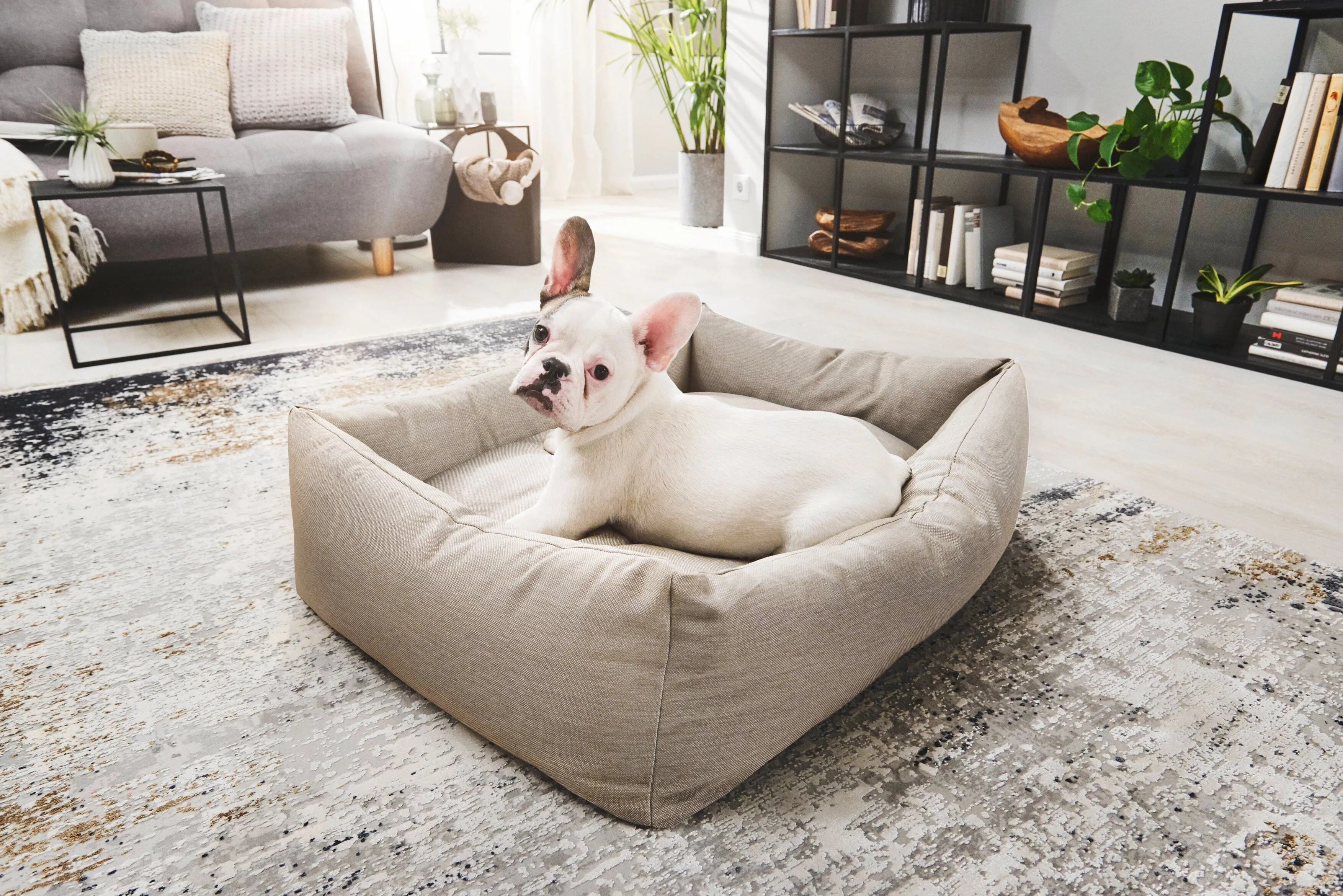 Laboni Orthopaedic Dog Bed Smooth