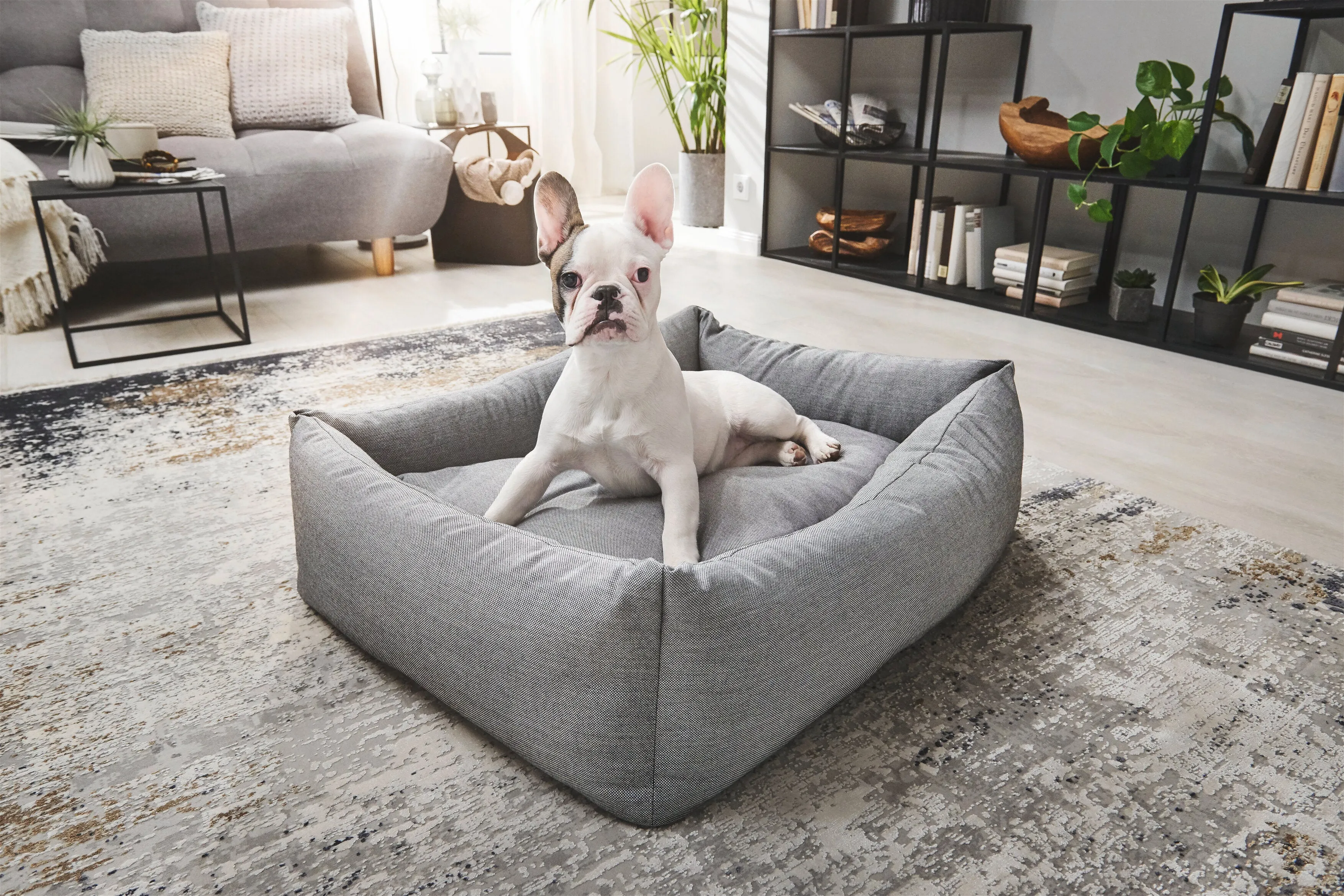 Laboni Orthopaedic Dog Bed Smooth