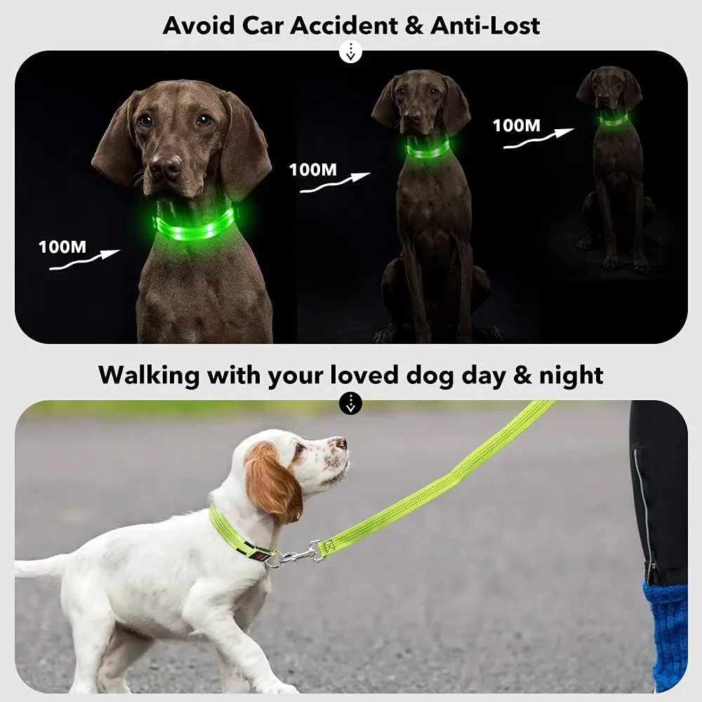 LED Light Up Dog Collars Micro USB Rechargeable, Fully Adjustable & Bright Lighted Glow Dark Dog Collars Light for Small Medium Large Dogs, Safety Dog Light for Night Walking-Green, Large
