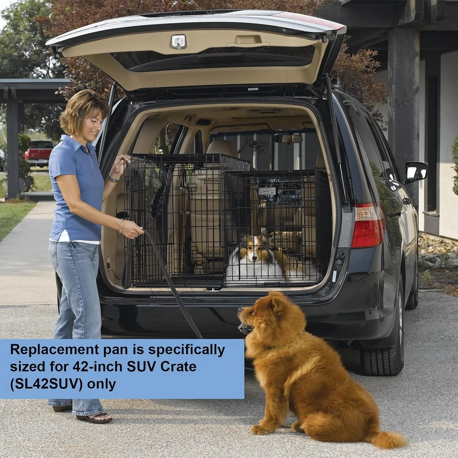 MidWest Homes for Pets Replacement Pan 42 Inch Long Midwest SUV Dog Crate; 41.34L x 20.48W x 1.19H Inches; 24PAN; Black
