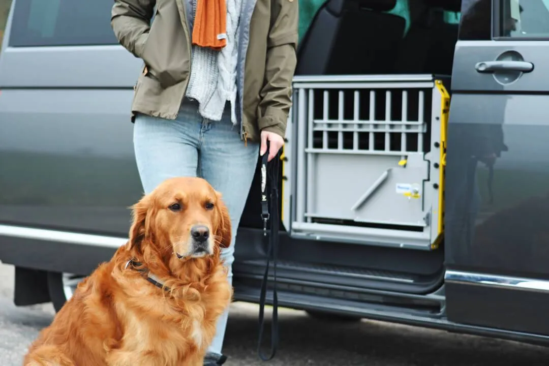 MIM MultiCage Transport Kennel