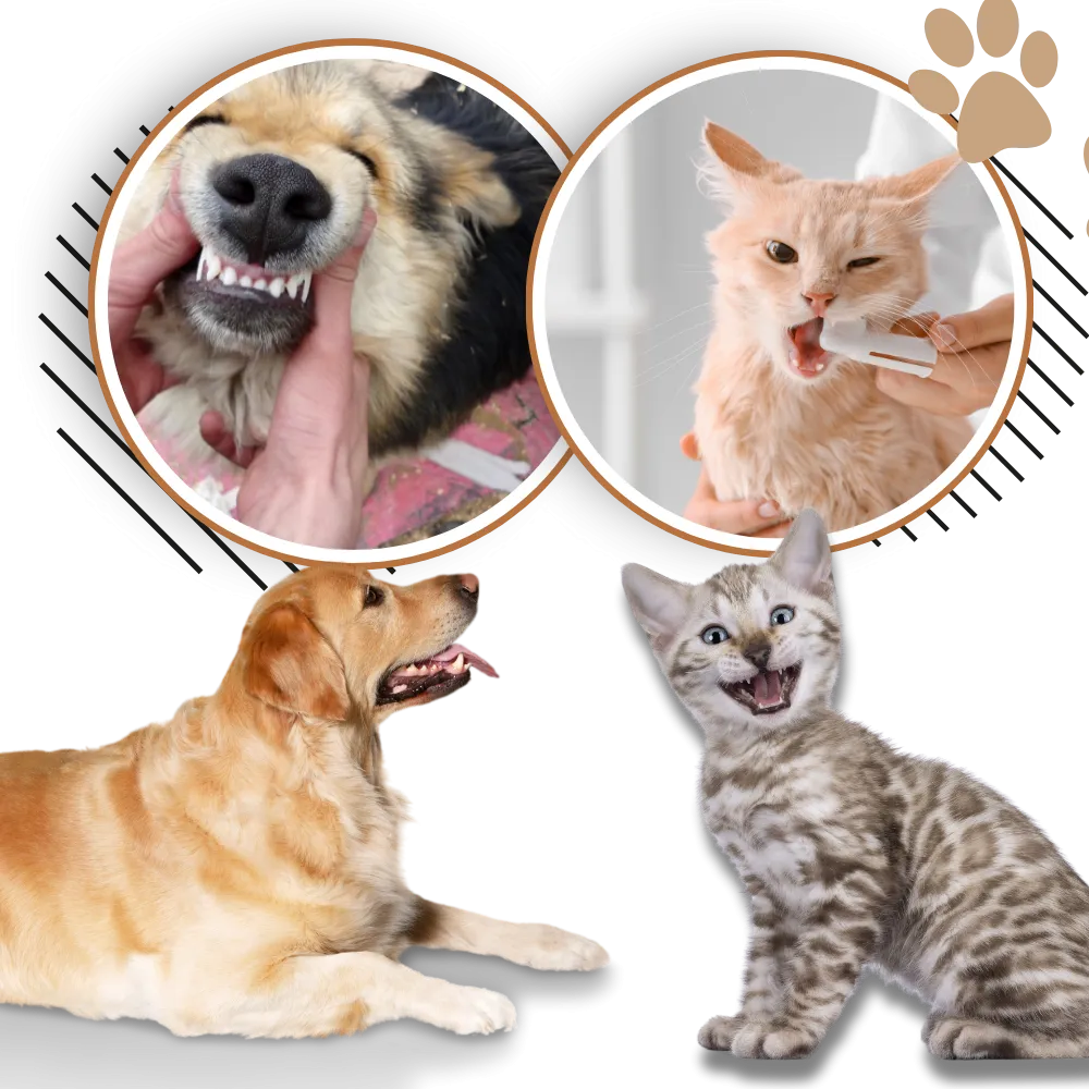 Natural Pet Oral Repair Gel