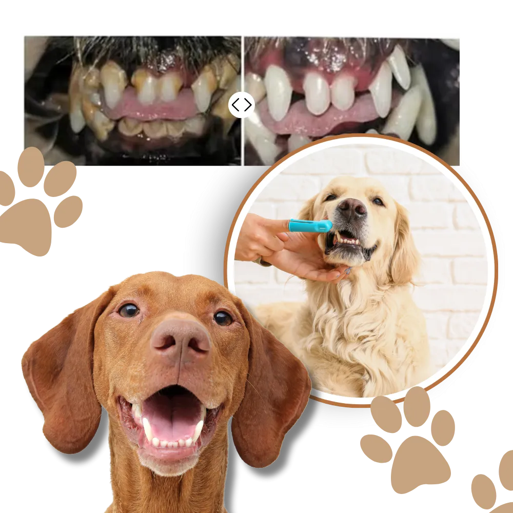 Natural Pet Oral Repair Gel