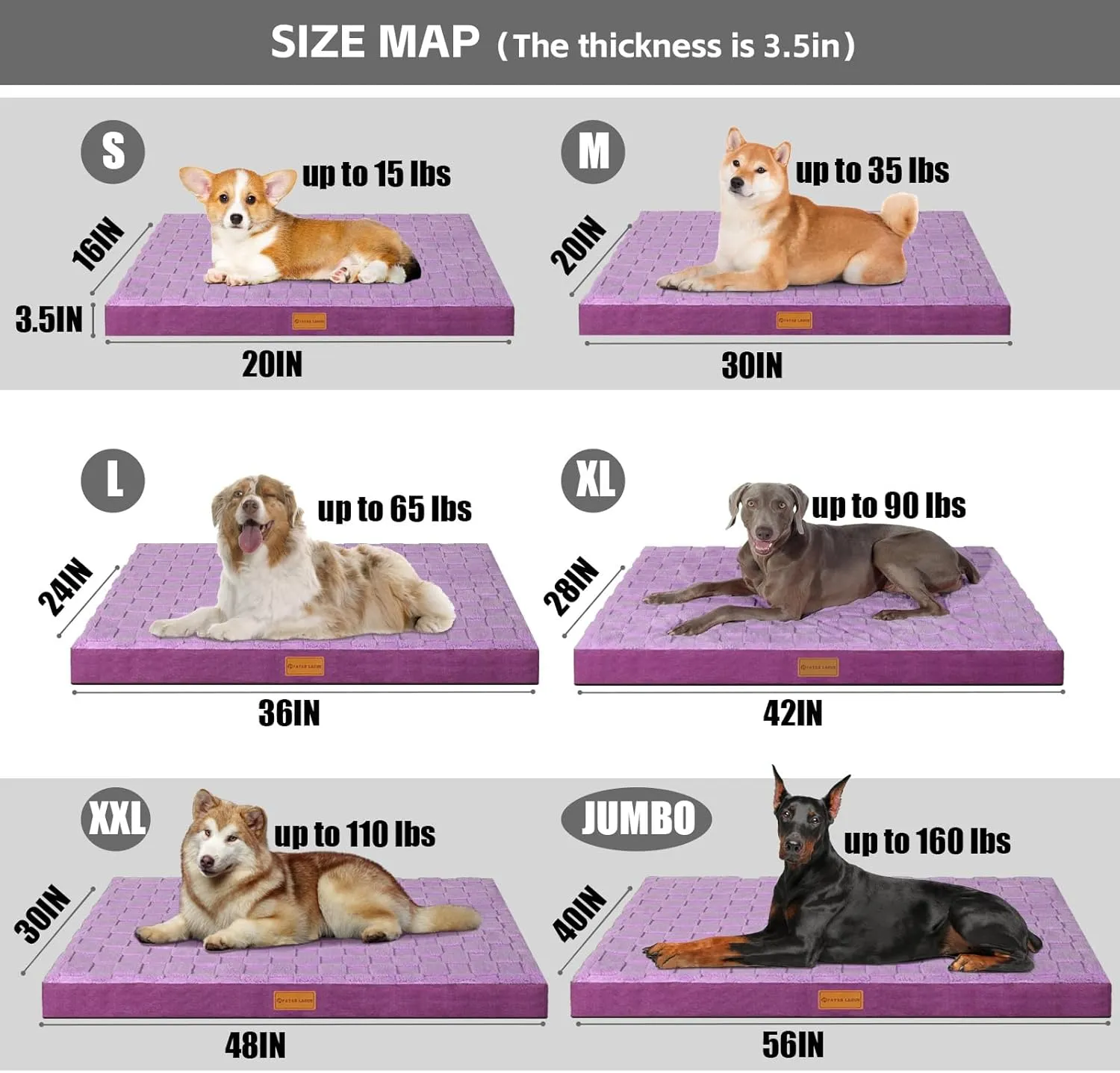 Patas Lague Orthopedic Dog Bed for Large Dogs, Waterproof Soft Warm Comfortable Egg Crate Foam Medium Pet Beds Mat with Removable Washable Cover and Nonskid Bottom, 36''X24'' Purple