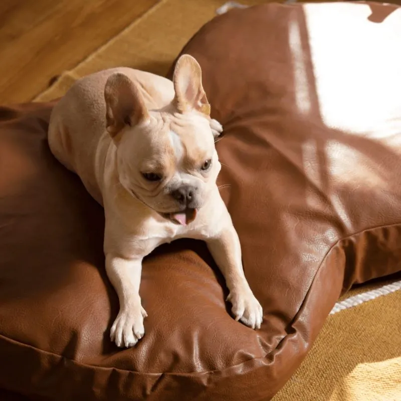 Paw Brands, PupCloud™ Faux Leather Memory Foam Dog Bed, Bourbon