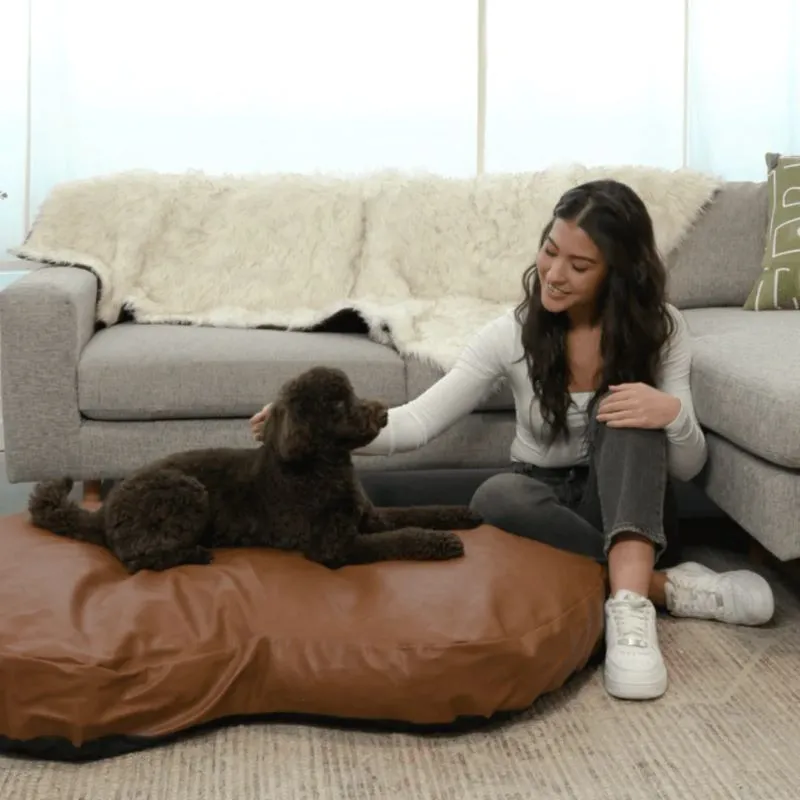 Paw Brands, PupCloud™ Faux Leather Memory Foam Dog Bed, Bourbon