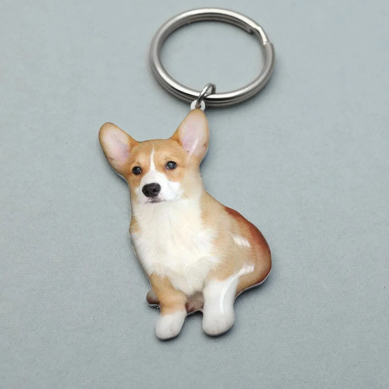 Pet Memorial Keychain