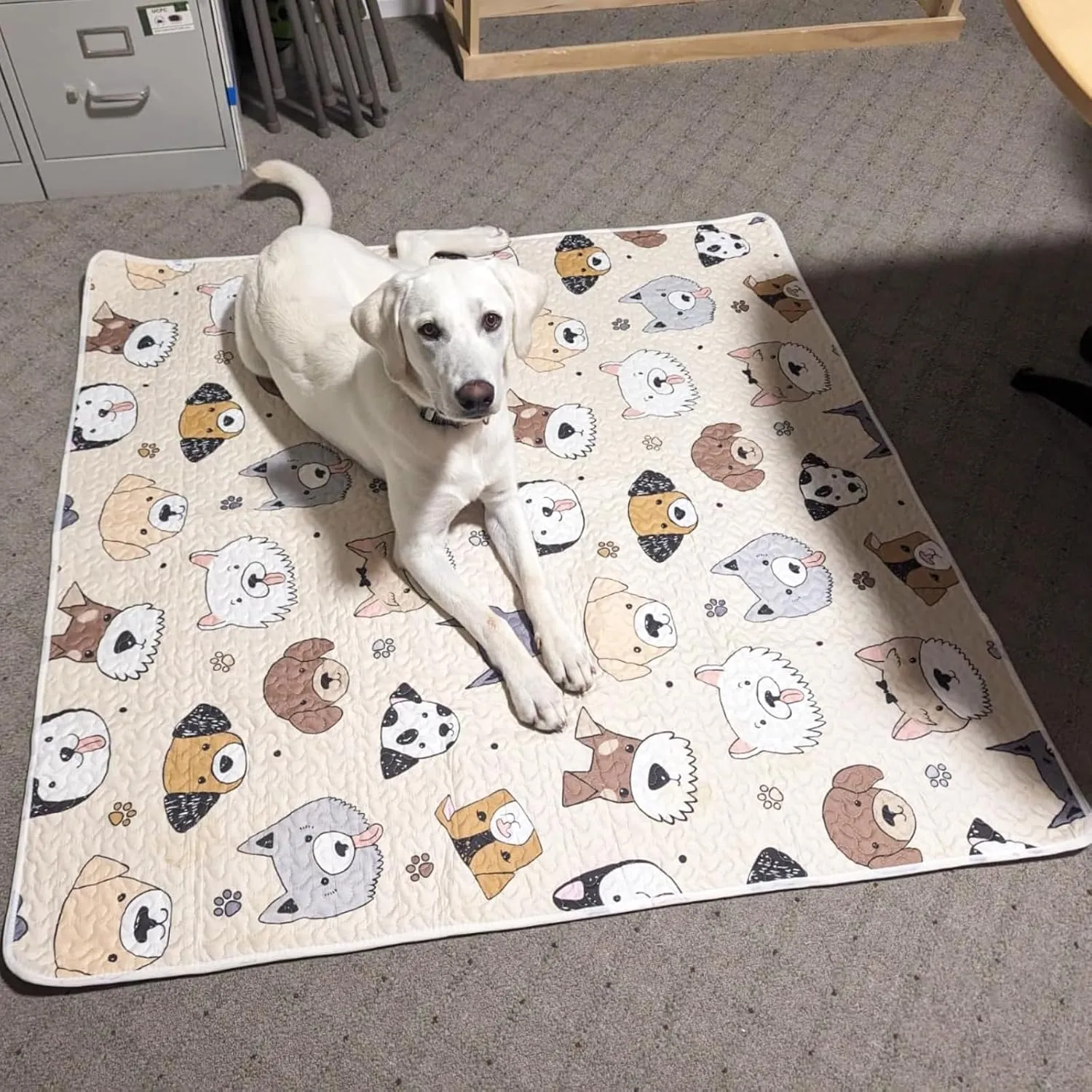 Puppy Playpen Mat Crate Pad, Reusable Dog Pee Pads Washable for Pet Training, Housebreaking, and Incontinence, Waterproof/Anti-Slip/Machine Washable (Woof woof, 38x38 Inch-1 Pack)