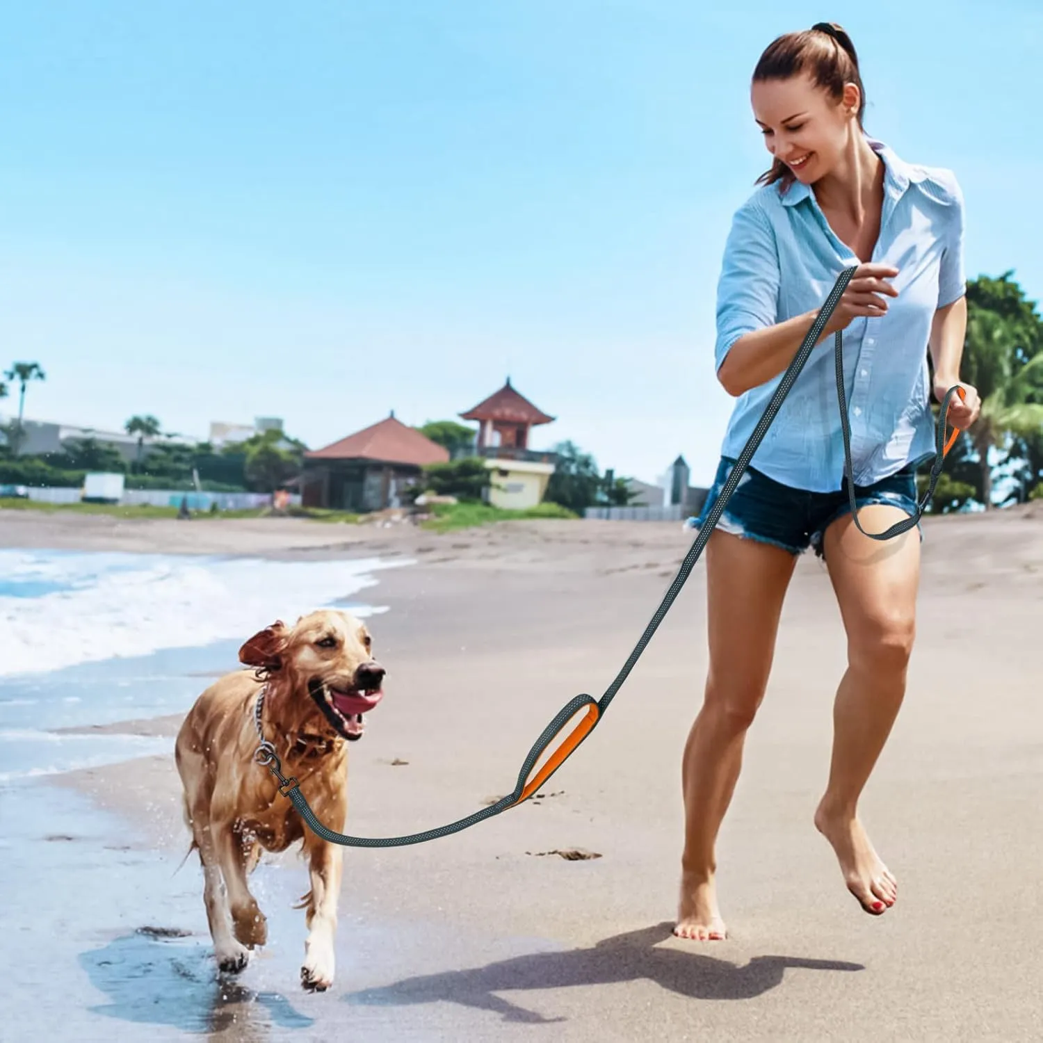 PuppyDoggy Dog Leash for Small to Medium Dogs 6 ft with 3 Reflective Stitching and 2 Traffic Padded Handles Dog Lead/Rope, Pet Leash for Running Walking Training (Black 1 Pack - 6 ft x 0.6 in)