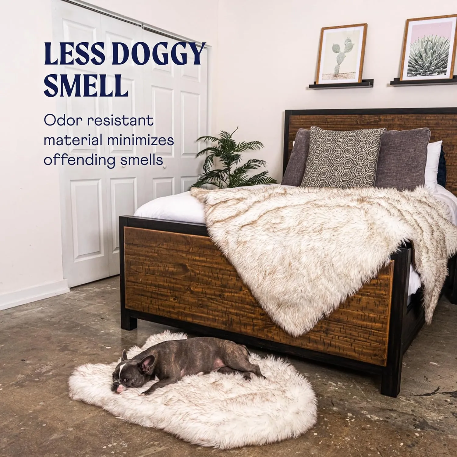 PupRug Orthopedic Dog Bed for Dogs with Soft Faux Fur and Memory Foam for Joint Pain Relief, Machine Washable Waterproof Couch Bed, White, Medium