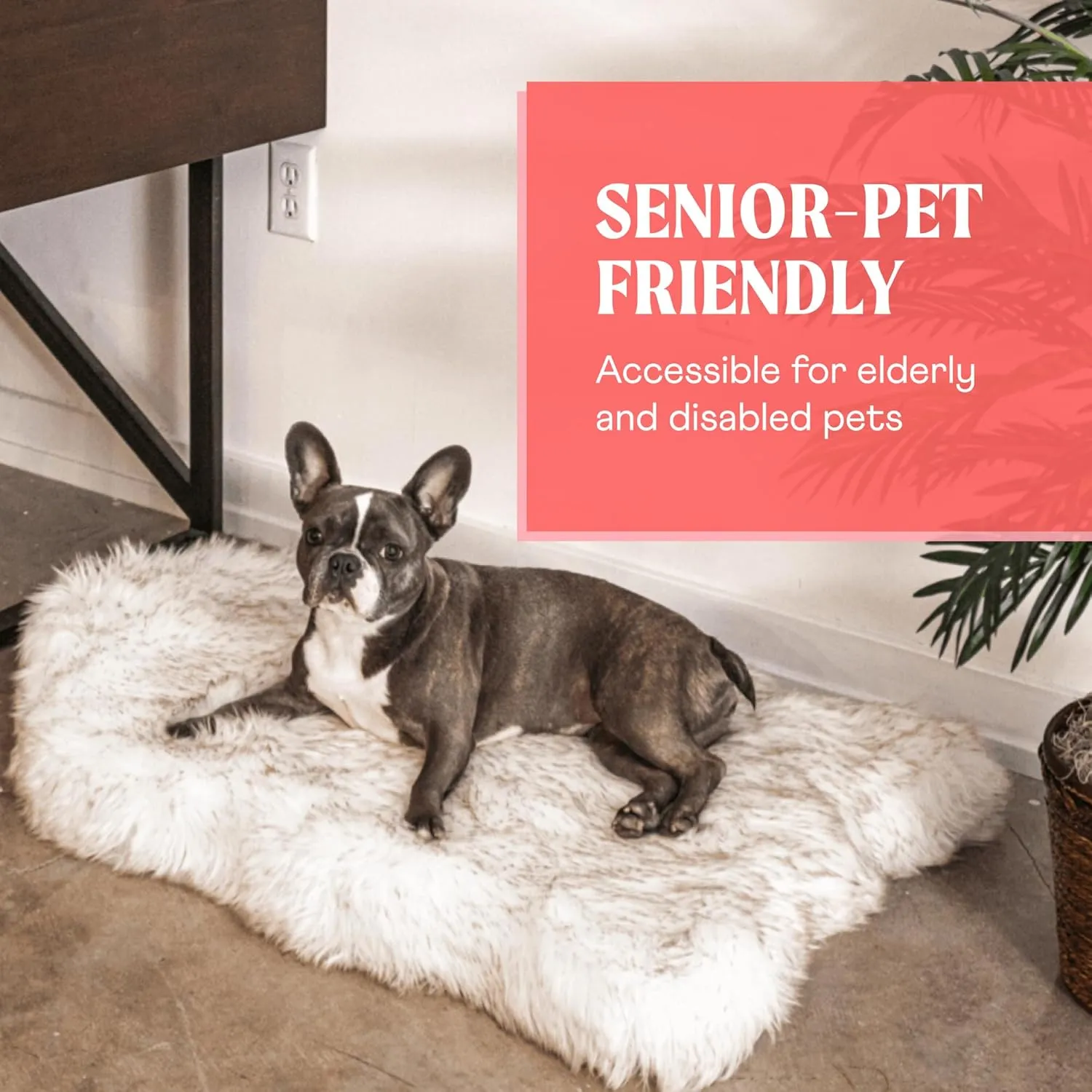 PupRug Orthopedic Dog Bed for Dogs with Soft Faux Fur and Memory Foam for Joint Pain Relief, Machine Washable Waterproof Couch Bed, White, Medium
