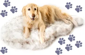 PupRug Orthopedic Dog Bed for Dogs with Soft Faux Fur and Memory Foam for Joint Pain Relief, Machine Washable Waterproof Couch Bed, White, Medium
