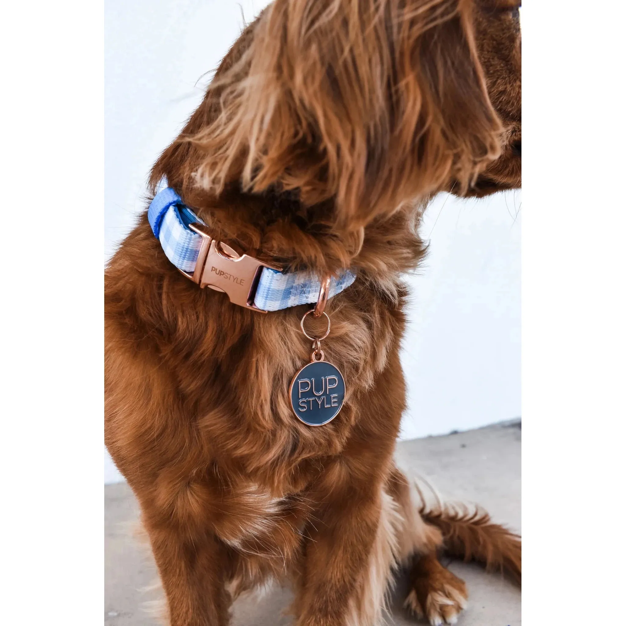 Pupstyle Suburban Collection Blueberry Muffin Dog Collar Medium